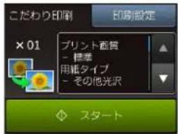 こだわり印刷 印刷設定 ×01 プリント配質 - 輝準 用紙タイプ - その他光訳 スタート