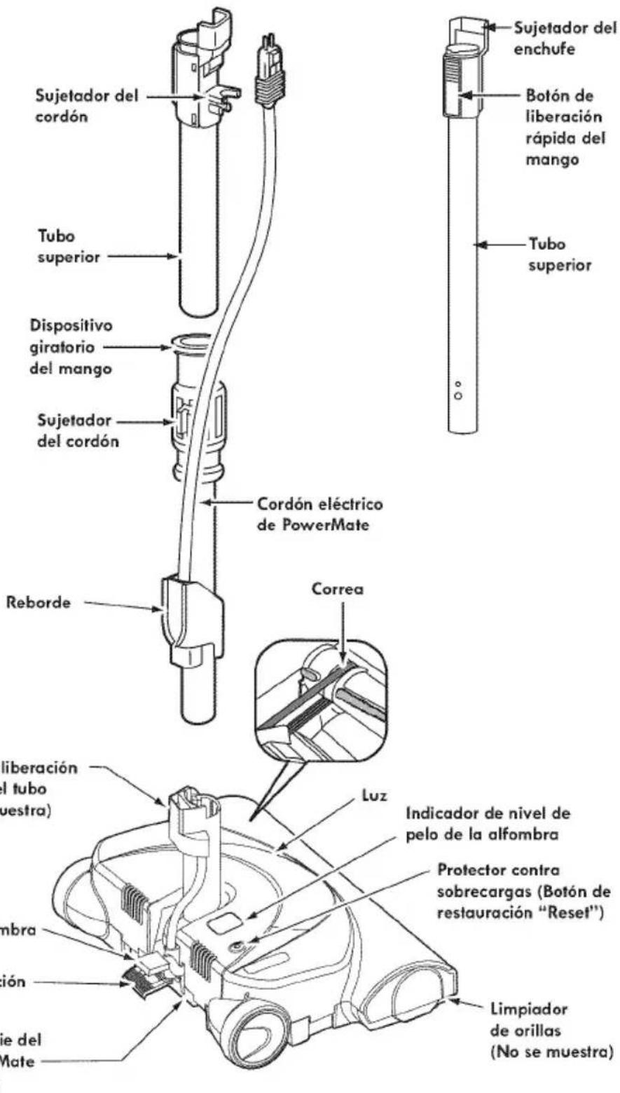 Sujetador del cordón Tubo superior Dispositivo giratorio del mango Sujetador del cordón Cordón eléctrico de PowerMate Reborde Correa Liberación el tubo (uestra) Indicador de nivel de pelo de la alfombra Protector contra sobrecargas (Botón de restauración "Reset") Limpiador de orillas (No se muestra)