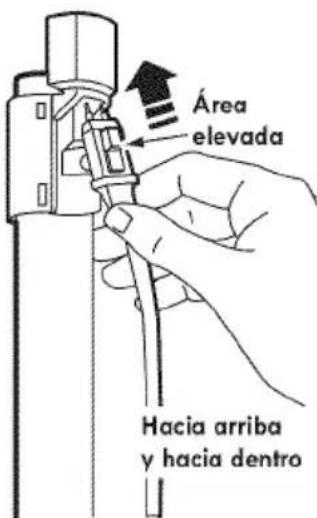 Área elevada Hacia arriba y hacia dentro