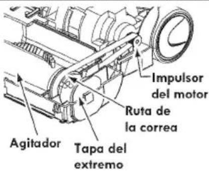 Agitador Tapa del extremo Ruta de la correa Impulsor del motor