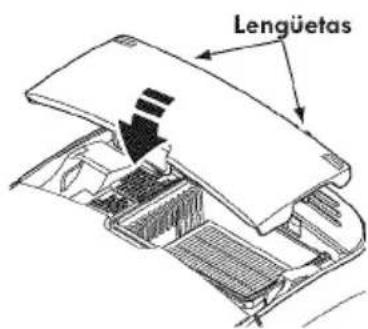 Lengüetas