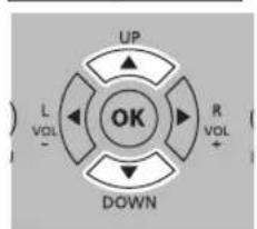 UP L VOL - OK R VOL + DOWN