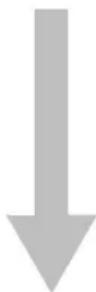CANON REALiS WUX6700 - Other Projection - 1