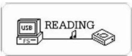 USB FS READING