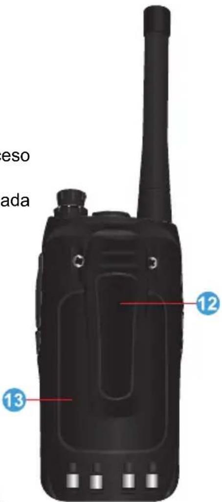 eso ada 12 13