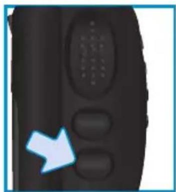 Steren RAD-530 - CONTENIDO - 8