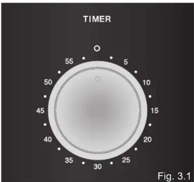 TIMER 55 5 5 10 15 20 25 30 35 40 45 50 Fig. 3.1