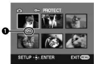 PROTECT 1 SETUP ENTER EXIT