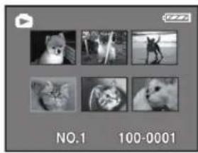 Grid of six black-and-white cat photos in various poses, displayed in a media player interface (no text or symbols on images)