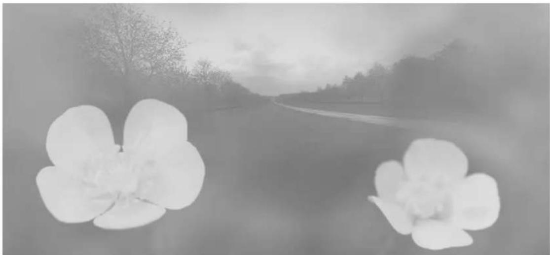 Black-and-white landscape photo showing two blooming flowers near a road with trees and distant buildings (no text or symbols)