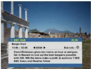 1 BBC ONE 20:30 Bergin Hunt 11:00 - 12:00 ▶ NOW ▶ Exit Info : ? David Dickinson gives two teams an hour at antiques fair in Newark to root out the best bargains possible with 200. Will the items make a profit at auctions ? WS BBC News and Weather follow