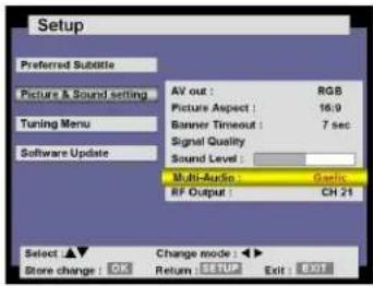 Setup Preferred Subtitle Picture & Sound setting AV out : RGB Picture Aspect : 16:9 Tuning Menu Banner Timeout : 7 sec Signal Quality Sound Level : Multi-Audio : Gaolc RF Output : CH 21 Select ▲▼ Change mode : ▶▼ Store change : OK Return SETUP Exit : FREE