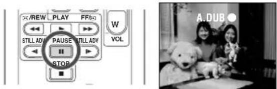 //REW PLAY FF W VOL STILL ADV PAUSE STILL ADV STOP A.DUB ●