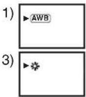 PANASONIC NV-GS78 - 用自然色彩拍摄(白平衡) - 4