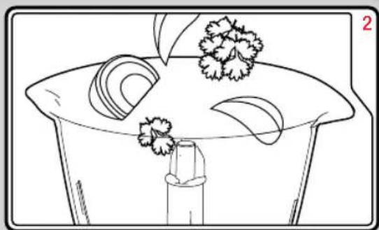 Line drawing of a plant setup with leaves and flowers on a curved base (no text or symbols)