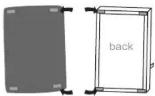 back