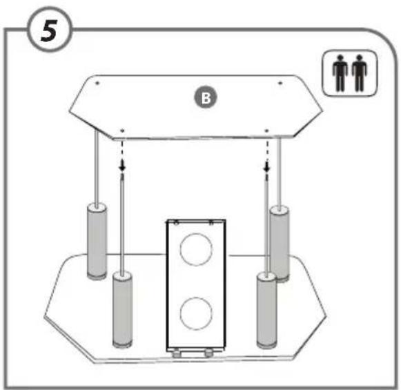 5 B