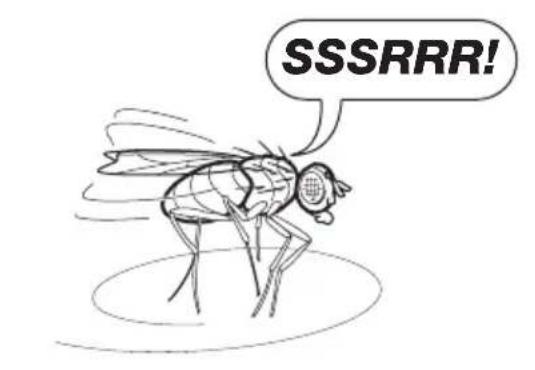 SSSRRR!