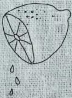 Simple line drawing of a seed or pod with internal blades and water droplets (no text or symbols)