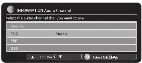 INFORMATION Audio Channel Select the audio channel that you want to use ENG AD ENG Stereo FRE GER Up Down Select Exit Menu