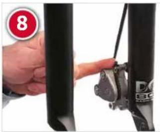 Raleigh Circa - DISC BRAKES - 8