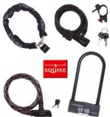 Raleigh Caprice - BIKE SECURITY - 1