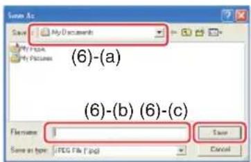 Save As Save As My Documents My Pictures My Pictures (6)-(a) (6)-(b) (6)-(c) Flare name: Save Save as type: JPEG File (*.jpg) Cancel