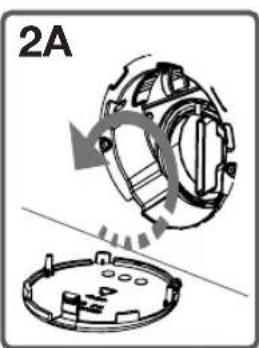 2A