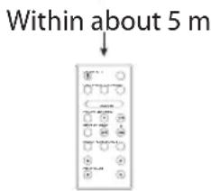 Within about 5 m