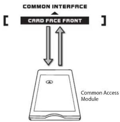 Logik L423CD11 - CI (Common Interface) - 1