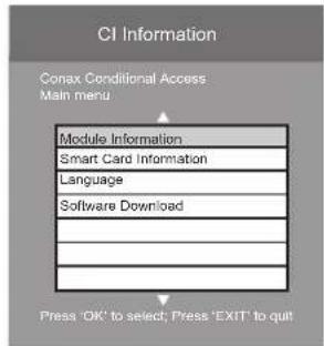 Logik L423CD11 - CI (Common Interface) - 4