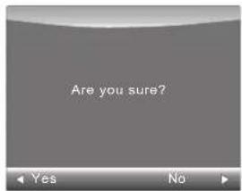 Are you sure?