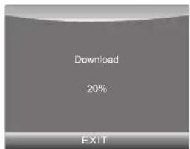 Download 20% EXIT