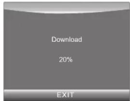 Download 20% EXIT
