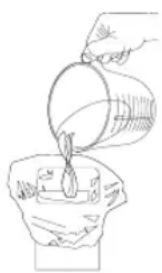 Logik LNF55S17 - Preparations for Freezing - 1