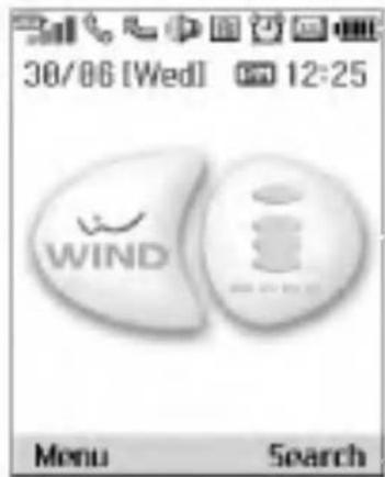 30/06 [Wed] 12:25 WIND Menu Search