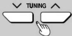TECHNICS SC-DV290EB - 2 - 1