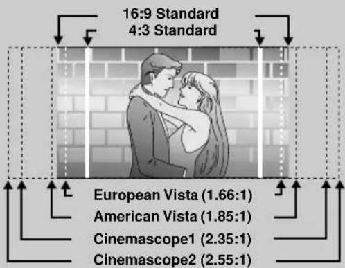 16:9 Standard 4:3 Standard European Vista (1.66:1) American Vista (1.85:1) Cinemascope1 (2.35:1) Cinemascope2 (2.55:1)
