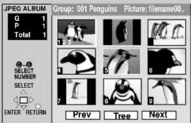 JPEG ALBUM G 1 P 1 Total 1 Group: 001 Penguins Picture: filename00.. 1 2 3 4 5 6 7 8 9 Prev Tree Next SELECT NUMBER SELECT ENTER RETURN