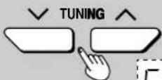 TECHNICS SC-DV290EB - [C] Turning DEMO off - 10