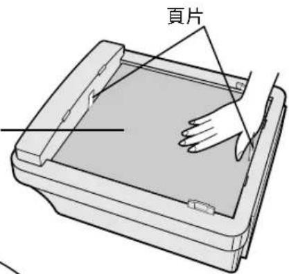 頁片