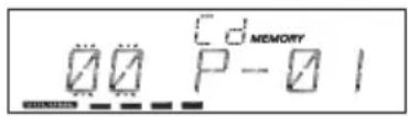 00 P-01 d MEMORY