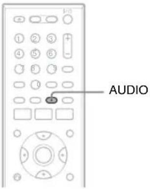 AUDIO