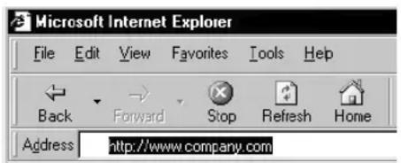 Microsoft Internet Explorer File Edit View Favorites Tools Help Back Forward Stop Refresh Home Address http://www.company.com