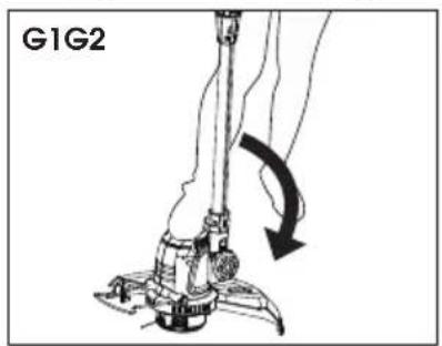 G1G2