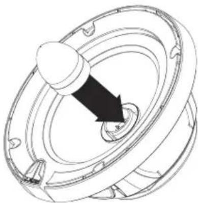 JL Audio C3-525 - DIAGRAM D: Phase Plug / Component System Configuration - 1