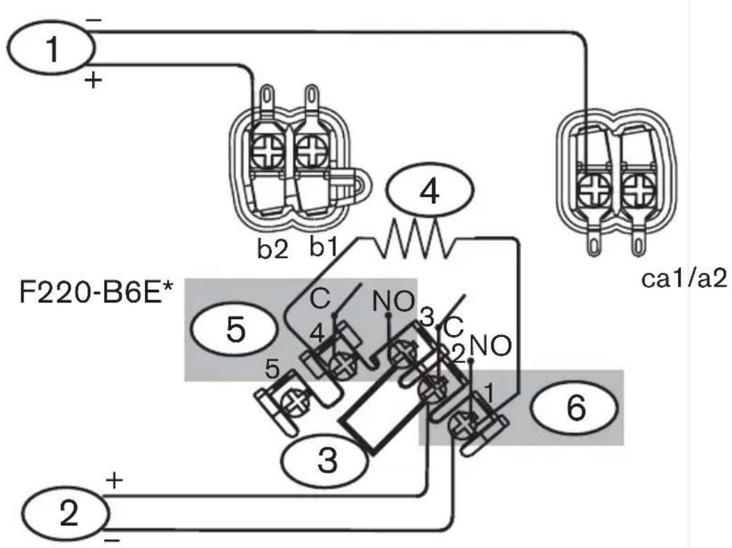 1 + b2 b1 4 ca1/a2 F220-B6E* 5 C NO 3 C NO 2 5 3 1 6 2 +