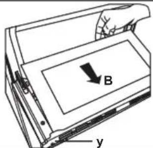 B y