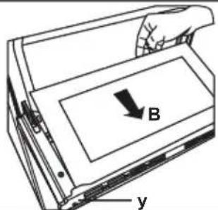 B y