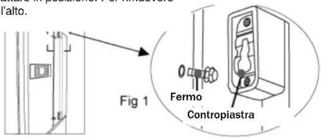 l'alto. Fig 1 Fermo Contropiastra
